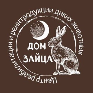 Дом Зайца