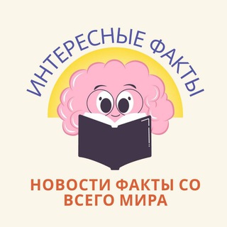 Интересные факты