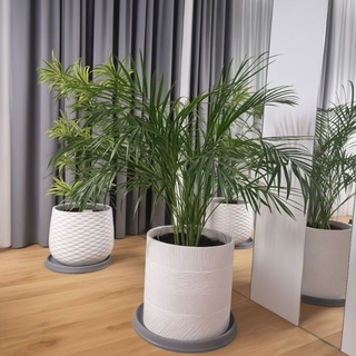 TRAVA | Цветы и растения