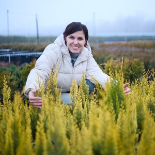 Domenika_flowers_elki