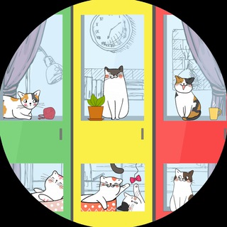 Кошачий приют Домик