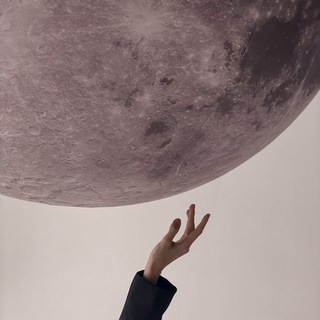 Книжный дом ✨