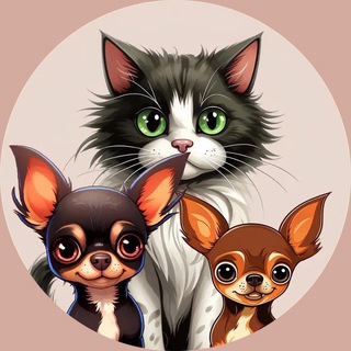 Домашние Любимцы 🐾