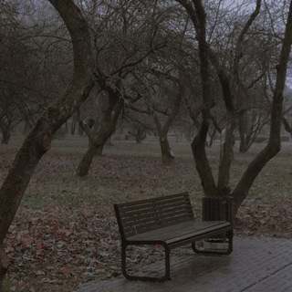 Чат-пиар | Реклама | Ролка🍃