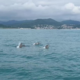 Дом в Вардане