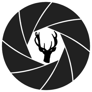 Донская дичь