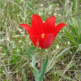 Донское краеведение