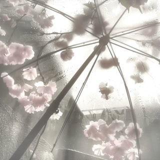 .•.°¿.잘 지내세요?°.•