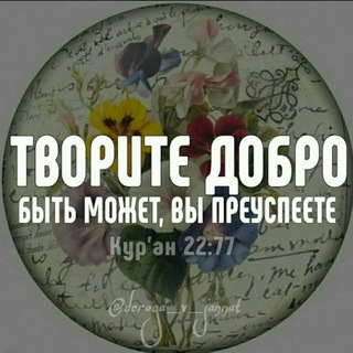 Дорога в Джаннат