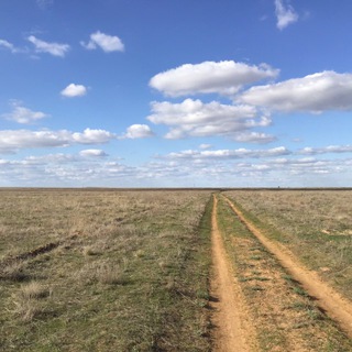 Дороге нет конца 🛣