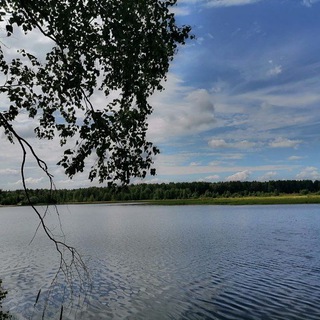 ДОРОЖНЫЕ ЗНАКИ