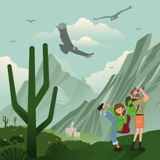 По ту сторону планеты 🌎