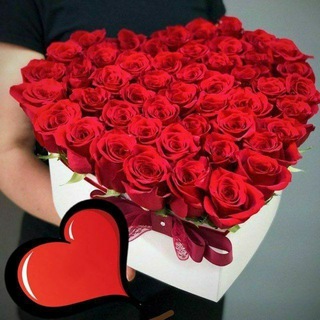 DOSTLAR ORTIRISH 💝💘💓