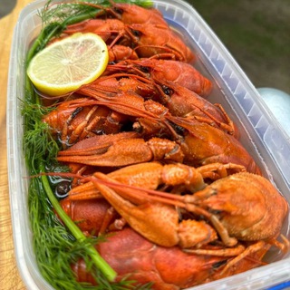 Доставка Цветов Москва