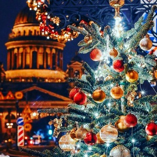 ﹊﹍♡۩🇶 σяα кσ'🇿۩♡﹍﹉