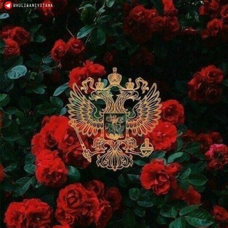 ꧁🌺ೌ✿➣♡࿆λ࿆ю࿆δ࿆ьι࿆м࿆α࿆я࿆❀̲͚🌺꧂