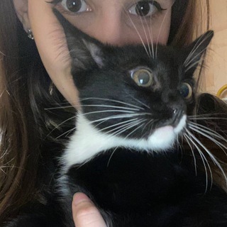 дебуст за 50 рублей