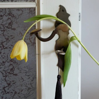 Чувствуешь дом?