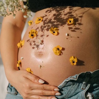 Четыре триместра