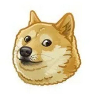 Просто мемы