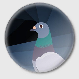 Голубиный штаб