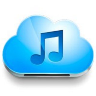 🎵 Музыка DMV