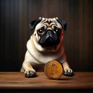 Профессор Лонгович/ DR.Longovich