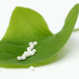 Актуальная гомеопатия 🌱