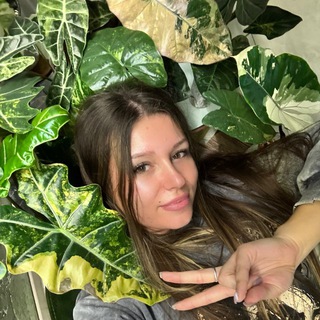 🪴Dragon Plants🪴