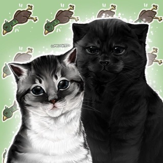 💍хвостатые коты🐾