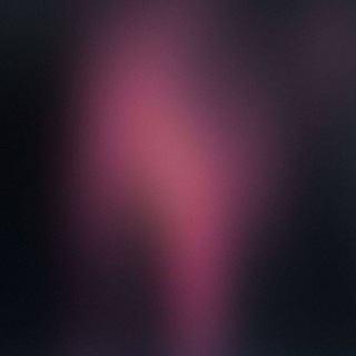 dramione with dari🩷