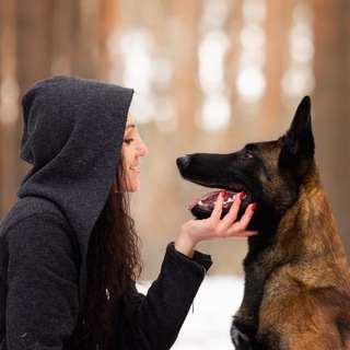 Юлия Абляхова | блог о дрессировке собак
