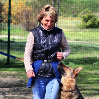 Дрессировка собак, Волгоград