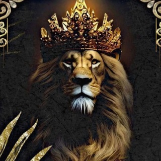 Дрессировка самцов😎