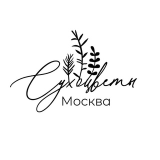 Сухоцветы Москва | Стабилизированные цветы