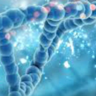 ДНК 🧬 ПроДвижения