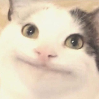 Друзья чатик