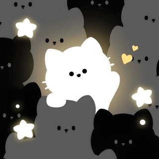 dt.FM about english ♡⸝⸝