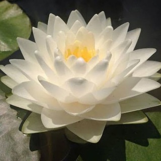 Духовный Путь