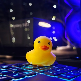 Разговоры с уточкой