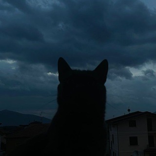 pinkie | Заработок на отзывах