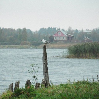 Душа России. В изображениях и строчках.