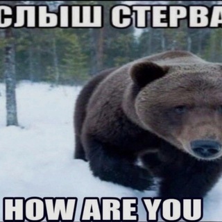 2007-2017 можем повторить