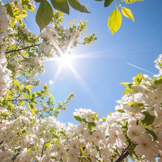 Духовный☦️Мир православия