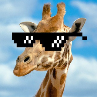 Афиша Движ-НН