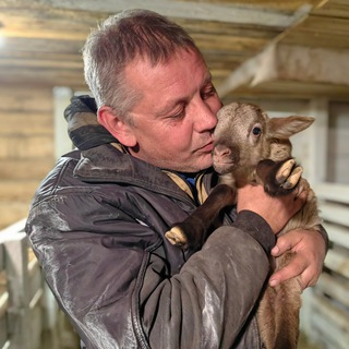 Мое Подворье