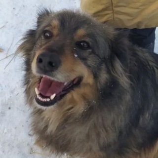 Дворянский Дом