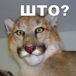 DwarwenWine - Игры, прохождения, летсплеи