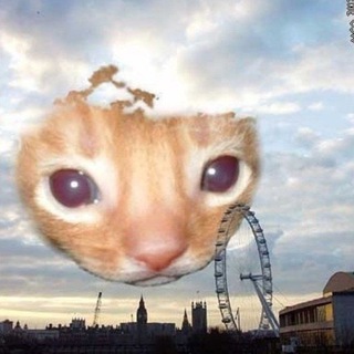 vlmwzp zip-архив