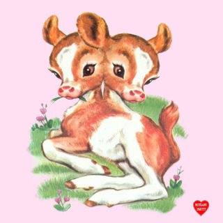 сарайные бактерии✨